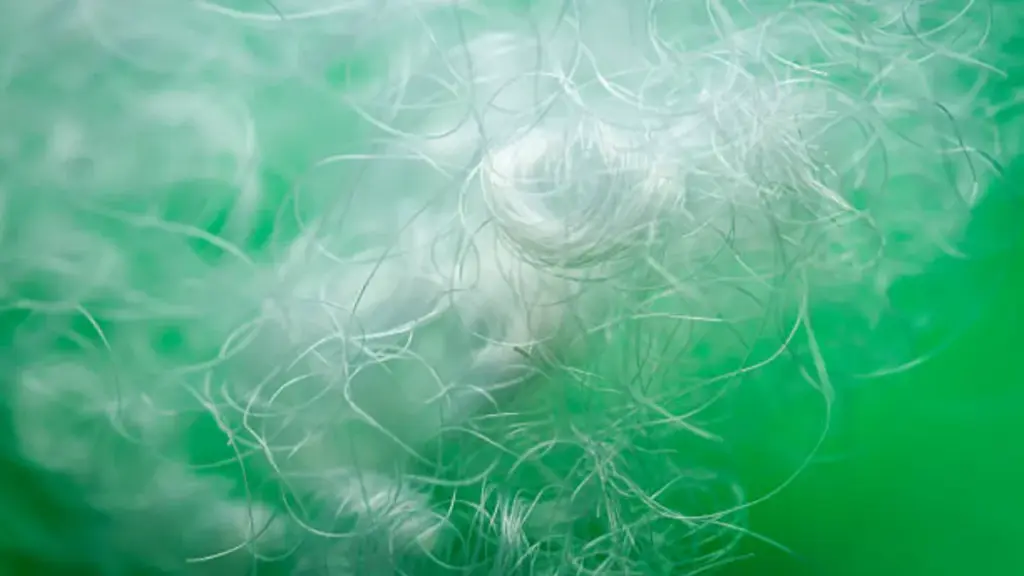 Polyester vs Recycled Polyester2